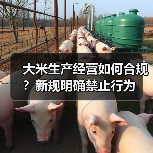 大米生产经营如何合规?新规明确禁止行为(图3) 大米生产经营如何合规?新规明确禁止行为(图3)