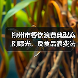 柳州市餐饮浪费典型案例曝光,反食品浪费法如何落实?(图1) 柳州市餐饮浪费典型案例曝光,反食品浪费法如何落实?(图1)