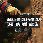 西班牙禽流感疫情引澳门进口禽肉管控措施(图4) 西班牙禽流感疫情引澳门进口禽肉管控措施(图4)