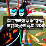 澳门市政署紧急召回两款韩国蛋糕 霉菌污染风险引关注(图2) 澳门市政署紧急召回两款韩国蛋糕 霉菌污染风险引关注(图2)