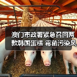 澳门市政署紧急召回两款韩国蛋糕 霉菌污染风险引关注(图1) 澳门市政署紧急召回两款韩国蛋糕 霉菌污染风险引关注(图1)