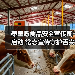 秦皇岛食品安全宣传周启动 常态宣传守护舌尖安全（图2）