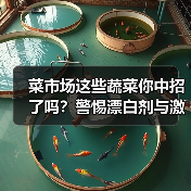 菜市场这些蔬菜你中招了吗?警惕漂白剂与激素陷阱(图2) 菜市场这些蔬菜你中招了吗?警惕漂白剂与激素陷阱(图2)