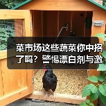 菜市场这些蔬菜你中招了吗?警惕漂白剂与激素陷阱(图3) 菜市场这些蔬菜你中招了吗?警惕漂白剂与激素陷阱(图3)