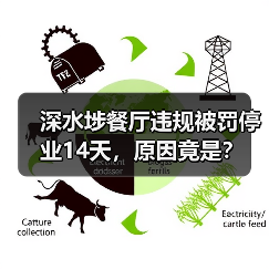 深水埗餐厅违规被罚停业14天,原因竟是?(图2) 深水埗餐厅违规被罚停业14天,原因竟是?(图2)