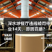 深水埗餐厅违规被罚停业14天,原因竟是?(图3) 深水埗餐厅违规被罚停业14天,原因竟是?(图3)