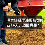 深水埗餐厅违规被罚停业14天,原因竟是?(图4) 深水埗餐厅违规被罚停业14天,原因竟是?(图4)