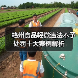 赣州食品轻微违法不予处罚十大案例解析(图2) 赣州食品轻微违法不予处罚十大案例解析(图2)