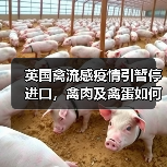 英国禽流感疫情引暂停进口，禽肉及禽蛋如何保障安全？（图1）