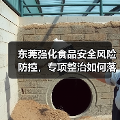 东莞强化食品安全风险防控，专项整治如何落地？（图1）