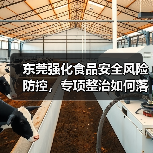 东莞强化食品安全风险防控，专项整治如何落地？（图4）