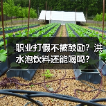 职业打假不被鼓励？洪水泡饮料还能喝吗？（图3）