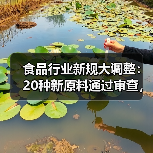 食品行业新规大调整:20种新原料通过审查,风险报告机制启动(图1) 食品行业新规大调整:20种新原料通过审查,风险报告机制启动(图1)