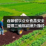 连锁餐饮企业食品安全管理三维赋能提升路径（图1）
