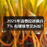 2025年消费投诉飙升27% 有哪些常见纠纷？（图3）