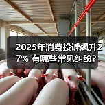 2025年消费投诉飙升27% 有哪些常见纠纷？（图4）