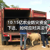 10.15亿农业防灾资金下达，如何应对洪涝干旱灾情？（图2）