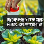 澳门市政署关注英国部分地区出现高致病性禽流感(图3) 澳门市政署关注英国部分地区出现高致病性禽流感(图3)