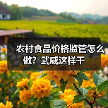 农村食品价格监管怎么做？武威这样干（图3）