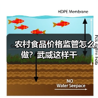农村食品价格监管怎么做？武威这样干（图4）