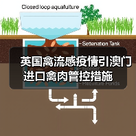 英国禽流感疫情引澳门进口禽肉管控措施（图1）