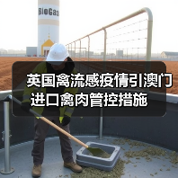 英国禽流感疫情引澳门进口禽肉管控措施（图2）