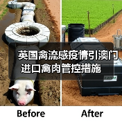 英国禽流感疫情引澳门进口禽肉管控措施（图3）