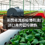 英国禽流感疫情引澳门进口禽肉管控措施（图4）