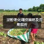 淀粉老化调控策略及应用解析（图2）