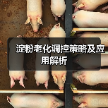 淀粉老化调控策略及应用解析（图4）