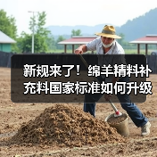 新规来了!绵羊精料补充料国家标准如何升级?(图1) 新规来了!绵羊精料补充料国家标准如何升级?(图1)