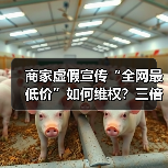 商家虚假宣传“全网最低价”如何维权?三倍赔偿规则解析(图4) 商家虚假宣传“全网最低价”如何维权?三倍赔偿规则解析(图4)