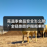 高温季食品安全怎么防？全链条防护指南来啦（图4）