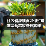 社区健康膳食如何打造基层营养服务新高地(图2) 社区健康膳食如何打造基层营养服务新高地(图2)