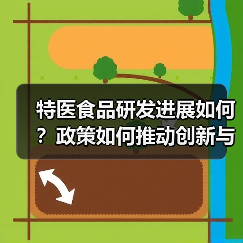 特医食品研发进展如何？政策如何推动创新与应用？（图2）