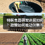 特医食品研发进展如何？政策如何推动创新与应用？（图4）