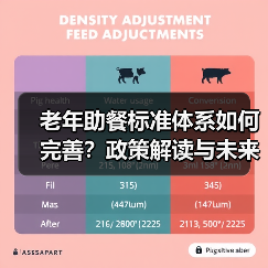 老年助餐标准体系如何完善?政策解读与未来规划(图2) 老年助餐标准体系如何完善?政策解读与未来规划(图2)