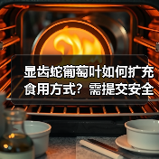 显齿蛇葡萄叶如何扩充食用方式？需提交安全审查资料（图3）