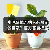 水飞蓟能否纳入药食同源目录?官方答复权威解读(图1) 水飞蓟能否纳入药食同源目录?官方答复权威解读(图1)