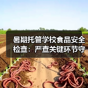 暑期托管学校食品安全检查:严查关键环节守护学生饮食安全(图3) 暑期托管学校食品安全检查:严查关键环节守护学生饮食安全(图3)