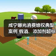 咸宁曝光消费维权典型案例 假酒、添加剂超标等违法行为被严惩（图3）