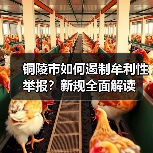 铜陵市如何遏制牟利性举报?新规全面解读(图3) 铜陵市如何遏制牟利性举报?新规全面解读(图3)