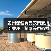 贵州保健食品政策支持引关注，刺梨等中药材为何未被纳入原料目录？（图2）