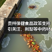 贵州保健食品政策支持引关注，刺梨等中药材为何未被纳入原料目录？（图3）