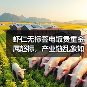 虾仁无标签电饭煲重金属超标，产业链乱象如何解决？（图4）