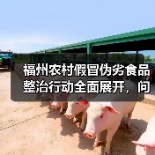福州农村假冒伪劣食品整治行动全面展开，问题究竟如何解决？（图3）