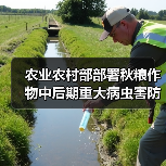 农业农村部部署秋粮作物中后期重大病虫害防控工作(图4) 农业农村部部署秋粮作物中后期重大病虫害防控工作(图4)