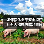 如何强化食品安全监管?五大措施破解监管难题(图4) 如何强化食品安全监管?五大措施破解监管难题(图4)