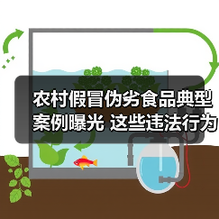 农村假冒伪劣食品典型案例曝光 这些违法行为被严查（图2）