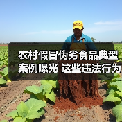 农村假冒伪劣食品典型案例曝光 这些违法行为被严查（图3）
